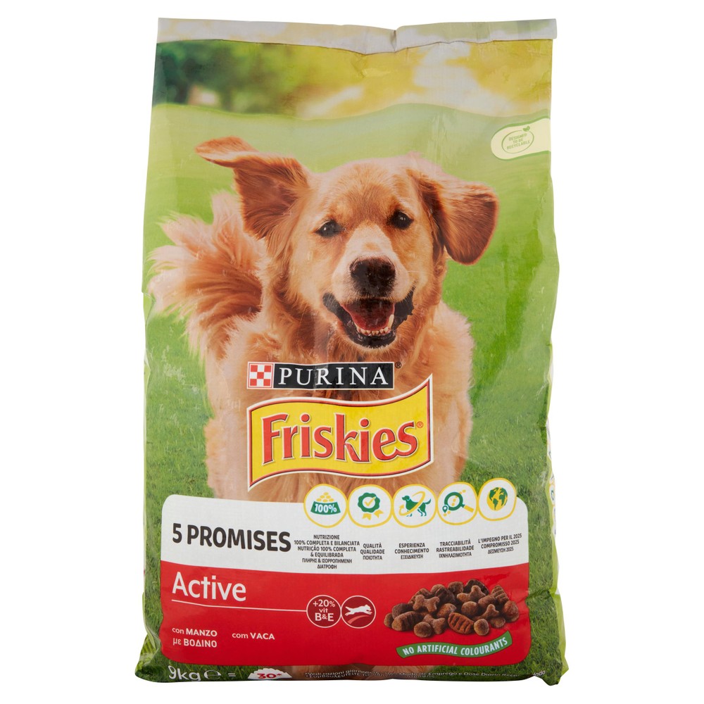 Alimento Secco Per Cani Active Friskies - Foto 1