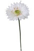 T2*GERBERA BIANCA - Foto 1 di 1