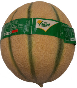 Melone Retato Filiera Valore Bennet - Foto 1