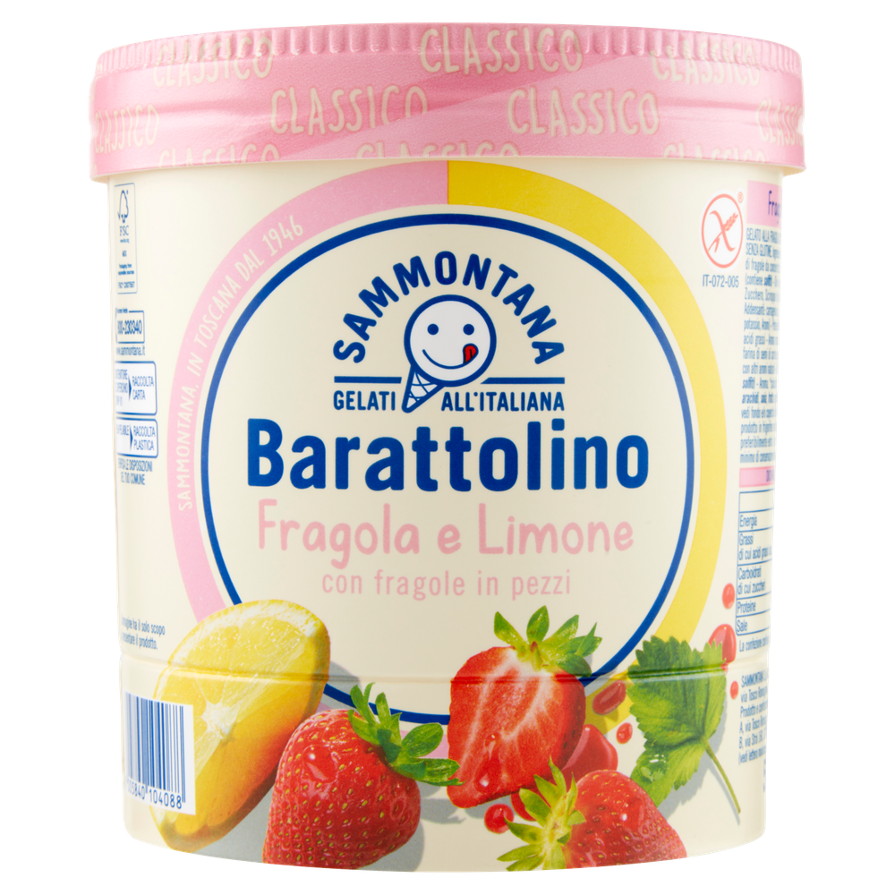 Barattolino Classico Fragola/Limone Sammontana - Foto 3