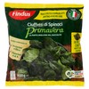 SPINACI PRIMAVERA FIND - Foto 1 di 3