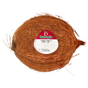 Cocco - Foto 1