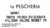 754*TROTA IRID.EV.TW - Foto 3 di 3