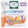 12 Waterstick Passion Fruit Pesca Bruciagrassi L'angelica