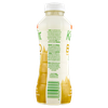 Milk Kefir Bio Da Bere