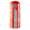 Birra In Lattina Bird Of Prey Uiltje
