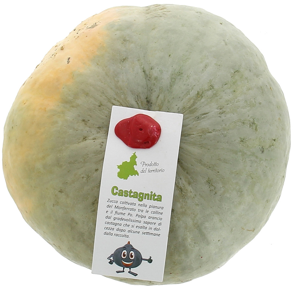 Zucca Castagna - Foto 2