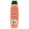 SHAMPO 2IN1 PALMOLIVE - Foto 3 di 3