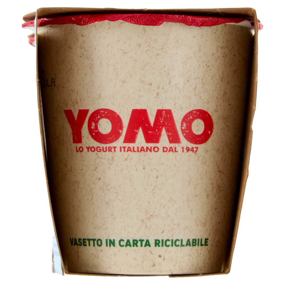 Yomo Magro Senza Lattosio Gusti Vari Conf.125x2 - Foto 2