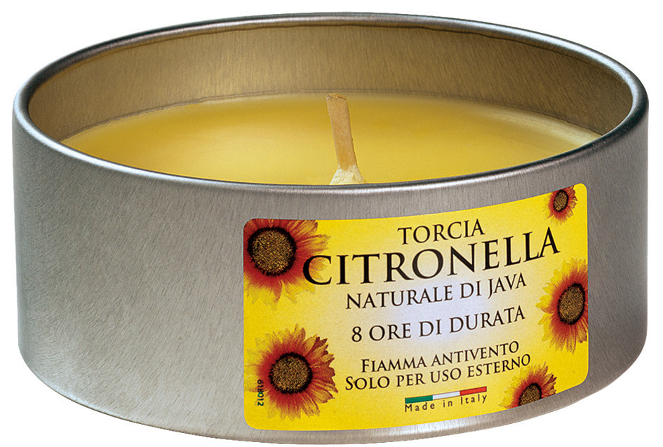 Maxi Lattina Citronella - Foto 1