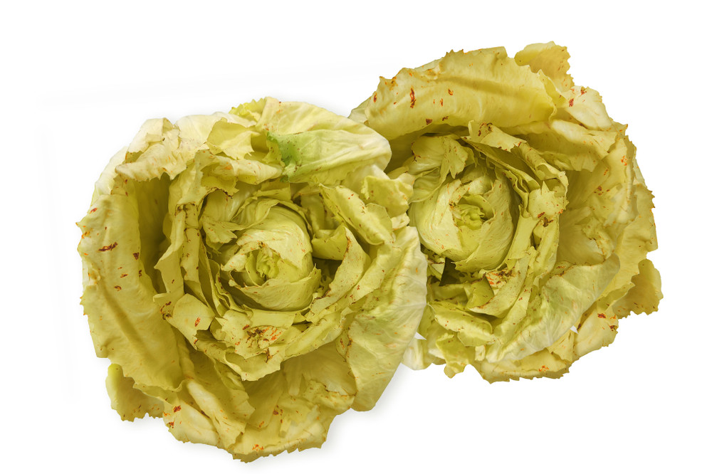 Radicchio Variegato - Foto 1