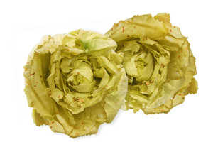 Radicchio Variegato - Foto 1