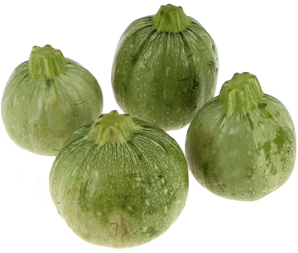 Zucchine Tonde - Foto 1