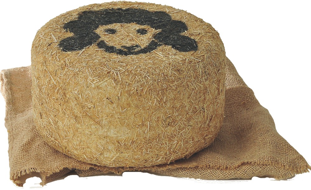 Pecorino Ballone - Foto 1