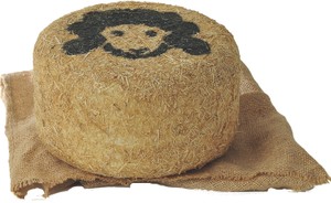 Pecorino Ballone - Foto 1