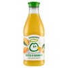 SUCCO ARANCIA BIONDA