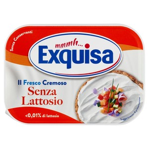 Formaggio Fresco Cremoso Senza Lattosio Exquisa - Foto 1