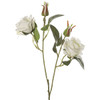 T3*ROSA A RAMO BIANCO - Foto 1 di 1
