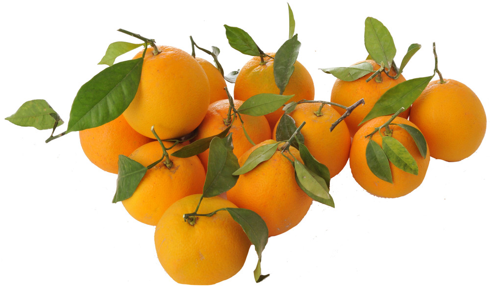 Arance Navel Foglia Spagna - Foto 1
