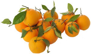 Arance Navel Foglia Spagna - Foto 1