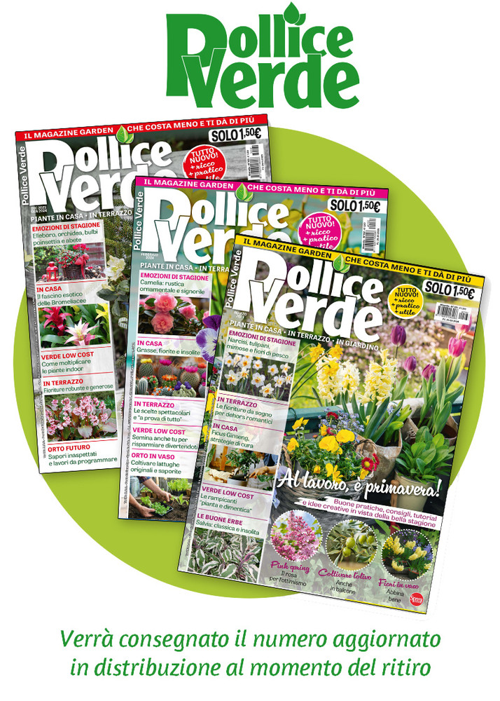 Pollice Verde - Foto 1