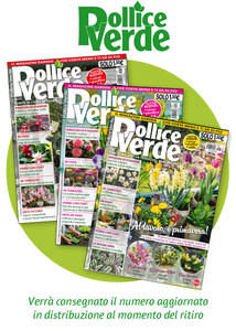 Pollice Verde - Foto 1
