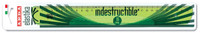 Righello Elastika Cm . 30 Punte Arrotondate Di Sicurezza Righello Elastika Cm . 30 Punte Arrotondate Di Sicurezza