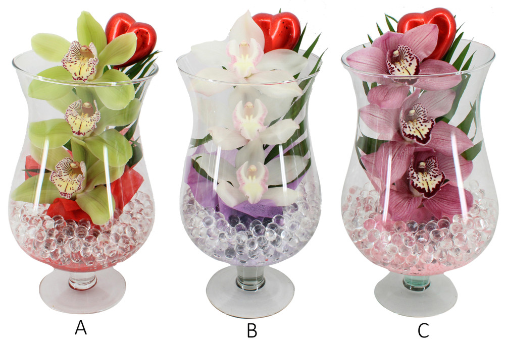 Cymbipack Calice - Foto 1