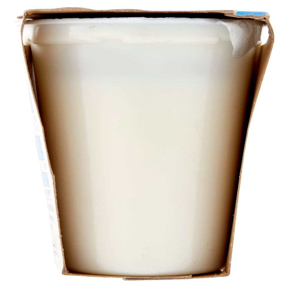 Yogurt Bianco Vivisi' - Foto 2