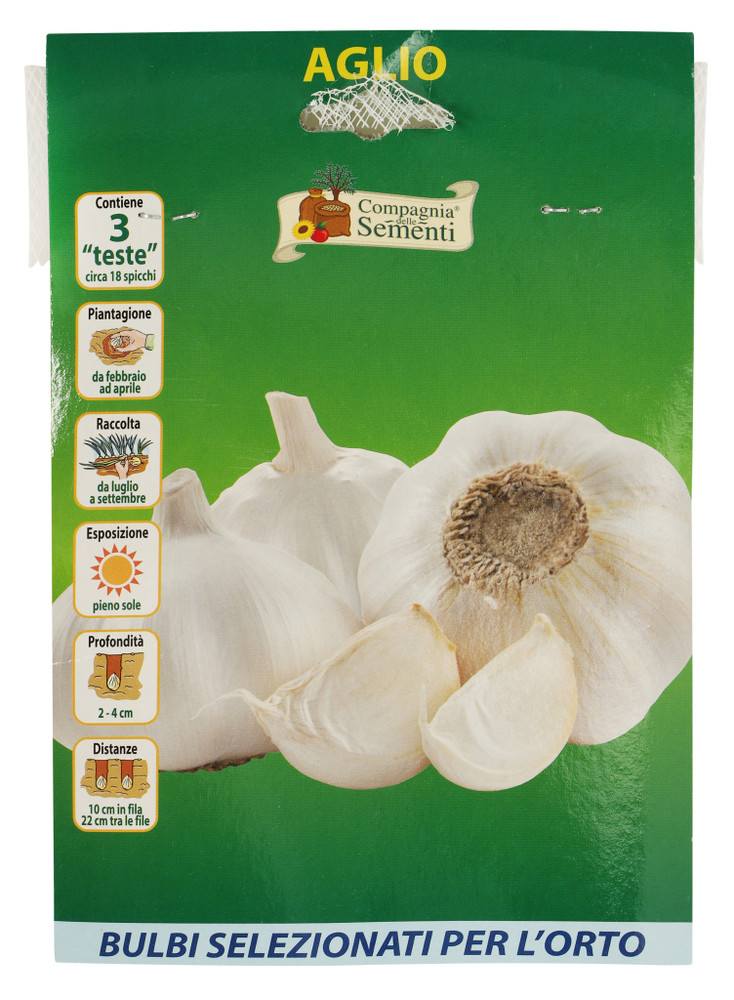 20 Bulbi Aglio - Foto 1