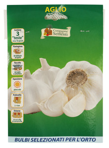 20 Bulbi Aglio - Foto 1