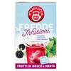 Infuso Con Frutti Di Bosco E Menta Fredde Infusioni Pompadour
