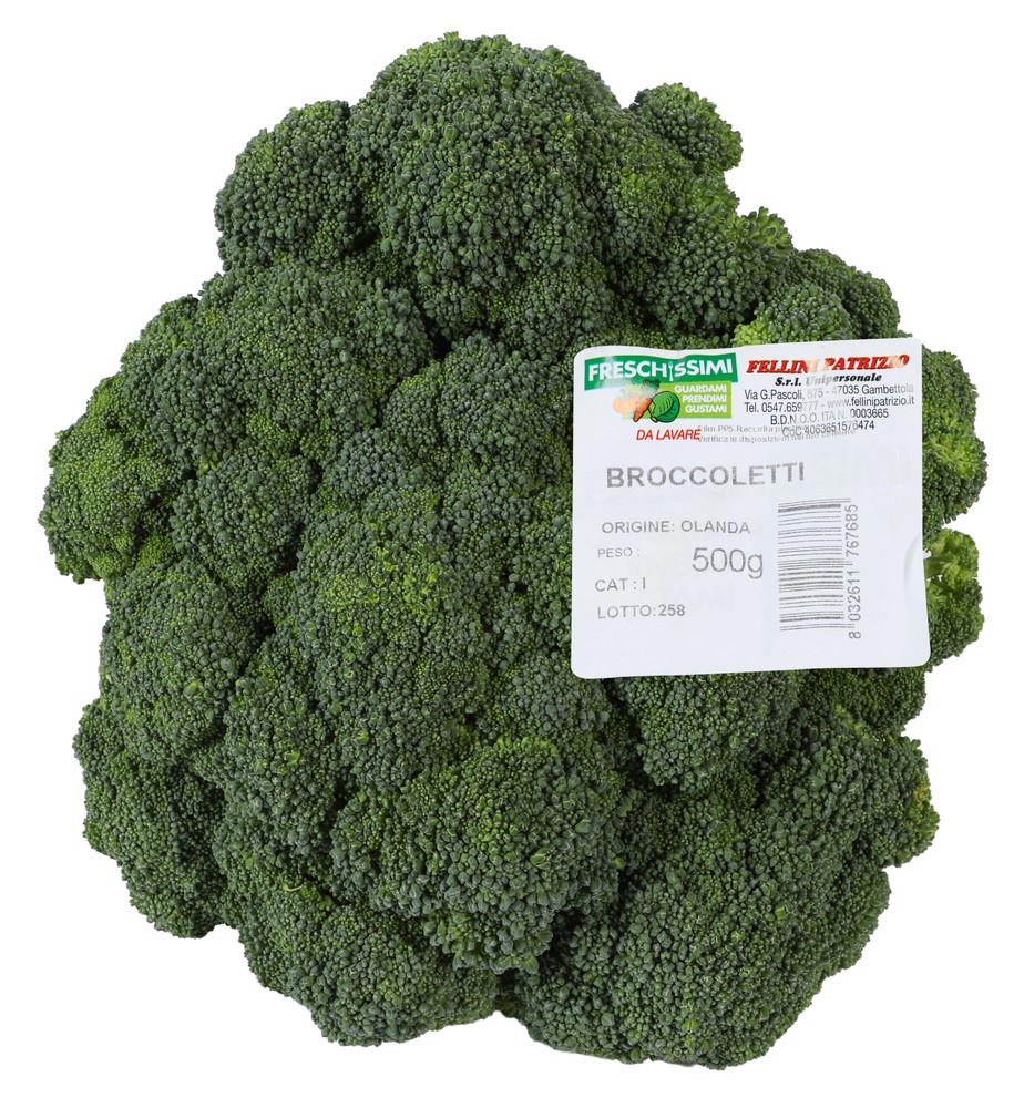 Broccoletti Filmati - Foto 1