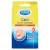 D-DR.SCH.CER.CALLIFUGH - Foto 1 di 3