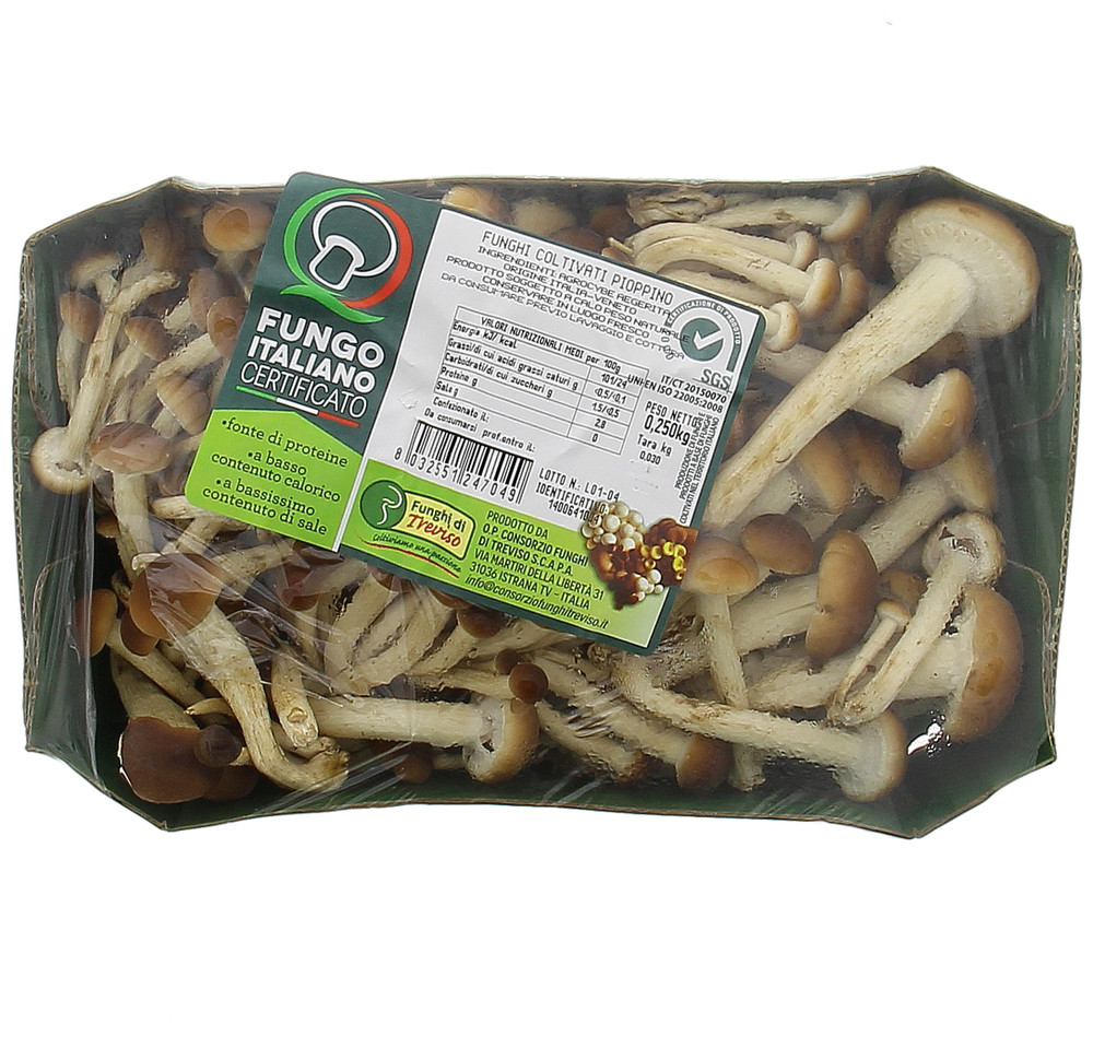 Funghi Pioppini In Vassoio - Foto 1