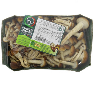 Funghi Pioppini In Vassoio - Foto 1