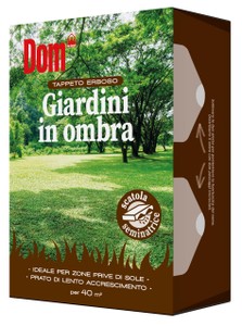 Tappeto Erboso Giardini In Ombra 1kg Dom - Foto 1