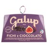 PANET.FICHI/CIOC.GALUP