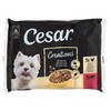 Cibo Umido Per Cani Delizie Del Giorno Salsa Conf. Da 4 Cesar
