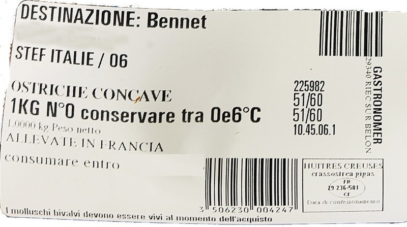 Ostriche Concave Di Bretagna - Foto 2