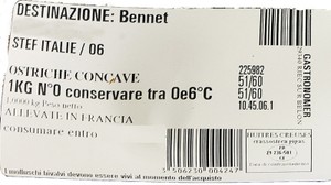 Ostriche Concave Di Bretagna - Foto 2