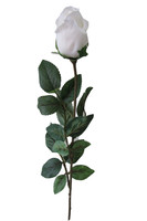 Bocciolo 1 Fiore Bianco