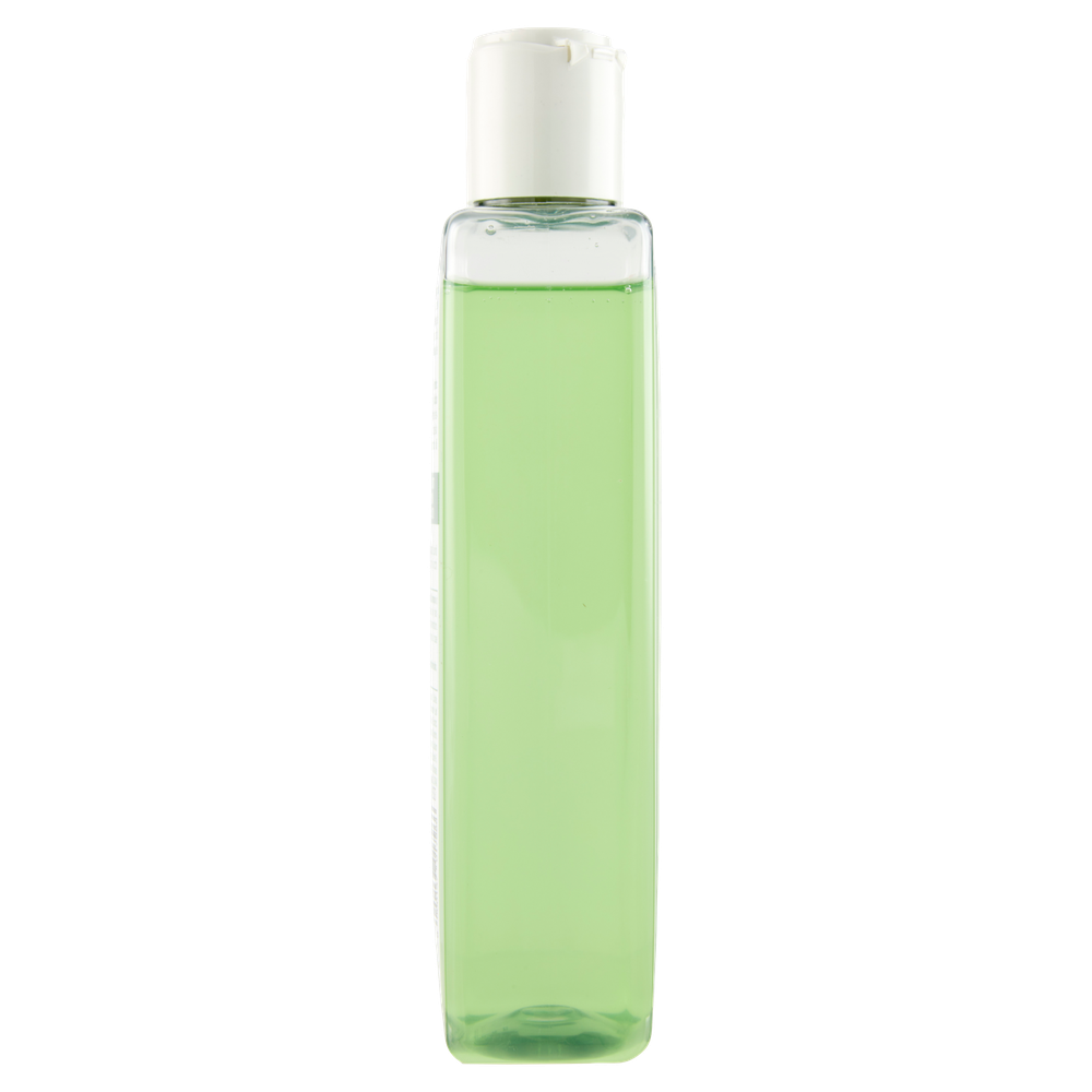 Shampoo Te' Verde Ialuronico Equilibra - Foto 2