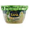 18123 PESTO RANA