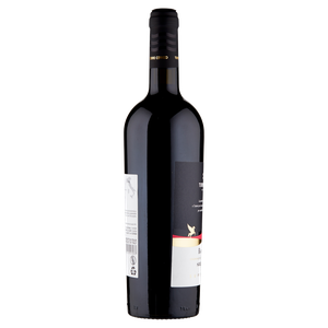 Sangiovese Di Romagna Superiore Terre Cevico - Foto 2