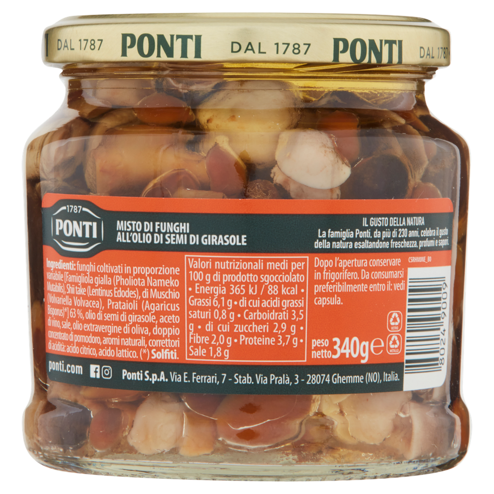 Mistoghiotto Di Funghi Sott'olio Peperlizia Ponti - Foto 3