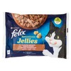 FELIX SEN.JEL.SAP.X4 - Foto 1 di 3