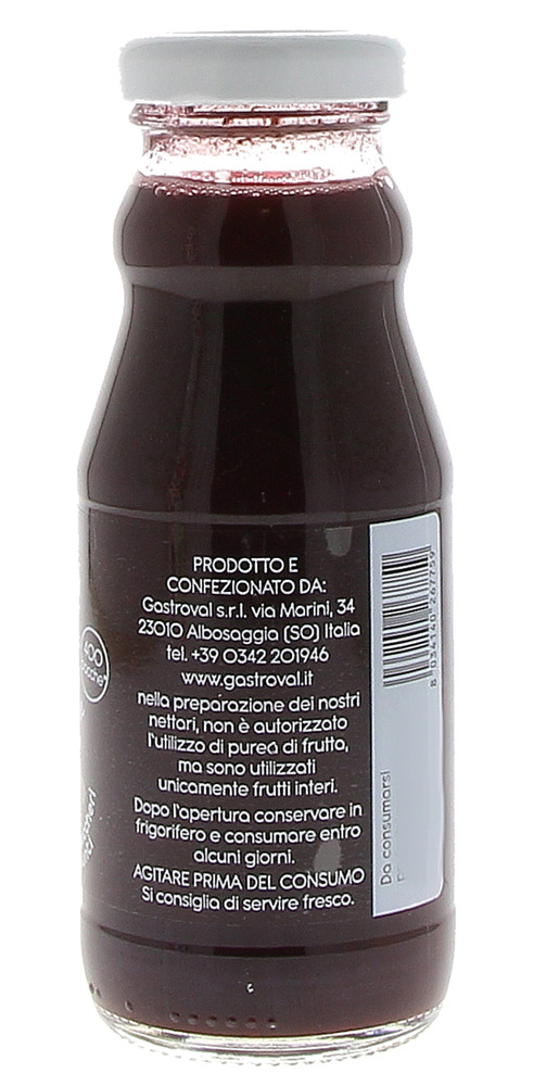 Nettare Mirtillo E Zenzero Senza Zucchero Gastroval - Foto 3