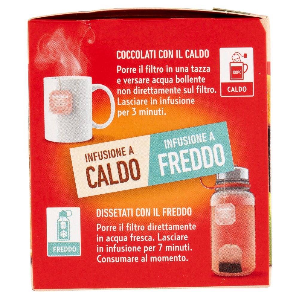 Infuso Fruttosi 100% Naturali Gusto Papaya E Arancia 12x2g Bonomelli - Foto 2