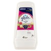 GLADE ASS.OD.GEL R.ZEN - Foto 1 di 3